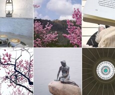 Instagramのアカウントに統一性を持たせます イメージ1