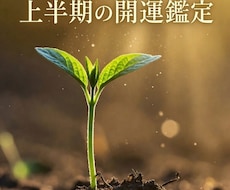 2026年〜2027年の運気の流れを鑑定します イメージ1