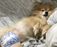 あえて 【何もしない】をします イメージ1