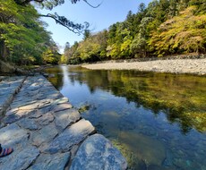 四柱推命をベースにしたもので占います イメージ1