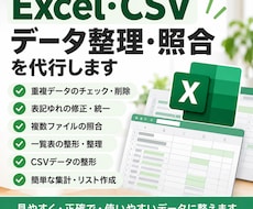 Excelデータの整理・照合を代行しますます イメージ1