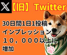 30日間インプレッション数を1万増加させます Twitterの1日1投稿に10000インプレッション数増加