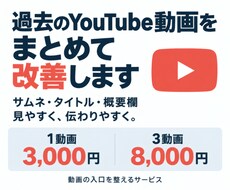 過去のYouTube動画をまとめて改善します イメージ1