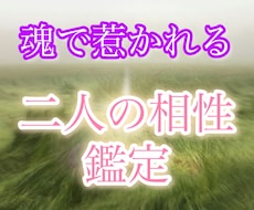 初回1名限定｜恋愛相性を占います 惹かれる理由・すれ違い・距離の縮め方まで丁寧に読み解きます