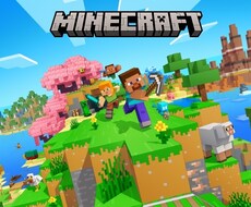 マイクラ統合版のオリジナルアドオン作成します イメージ1