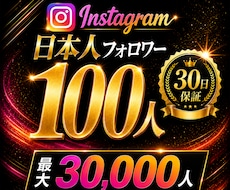 インスタの日本人フォロワー100人増やします イメージ1