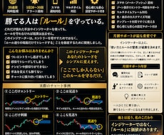 購入者限定　FXインジケータ専用でサポートします イメージ1
