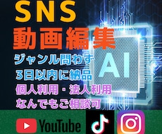 SNS向けショート動画を編集します イメージ1