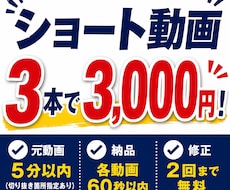 3本3000円からショート動画を承っております SNS向けショート動画を丁寧・迅速に編集します