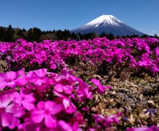 気軽にお声かけください★...なんでも聞きます イメージ1
