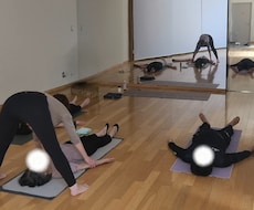 ヨガシークエンスブラッシュアップサポートします イメージ1