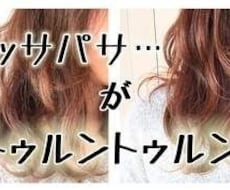 本当に美髪になるシャンプー&トリートメント教えます イメージ1