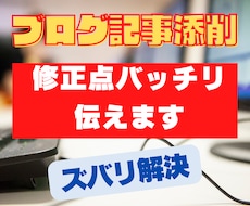 ブログ・アフィリエイト記事を全力で添削します 記事添削1000件以上のプロが「高品質な記事」へ導きます。