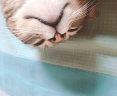 相談うけます イメージ1