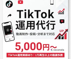 TikTokの動画制作・運用代行します TikTokの動画制作、投稿・分析まで、運用をサポートします