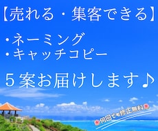 心に響く、ネーミングorキャッチコピー5案考えます お客様の"コトバ"の悩み、石垣島で育てた感性で解決します。
