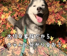 わんこのしつけ相談、アドバイスさせて頂きます イメージ1
