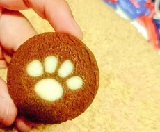 お話ききます イメージ1