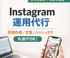 SNSの運用代行を行います イメージ1
