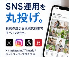 専門家が月2万円（税抜）でSNS運用代行します イメージ1
