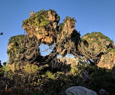 フロリダディズニーについて教えます