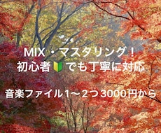 マスタリング(音質向上・ピッチ補正など）行います イメージ1