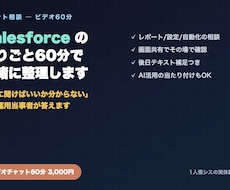 Salesforceの困りごと相談に乗ります イメージ1