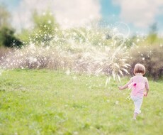 人間関係や仕事☆ エネルギーから視ていきます 気になることをエネルギーから視ていきます
