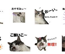 可愛いスタンプ作成します イメージ1