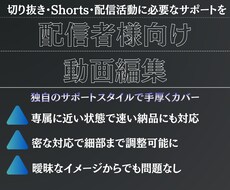 Vtuber様や配信者様にお力添えします 動画１本の計画から完成まで一緒に創り上げませんか？