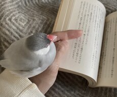 カフェ店員がまったりお話し聞きます イメージ1