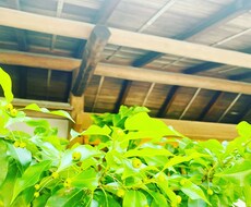 私は言霊カウンセラー17分間あなたの思いを出します イメージ1