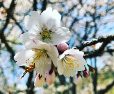 育児のお悩みや愚痴お聞きします イメージ1