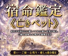 亡くなったペットの気持ちと魂のご縁を読み解きます 虹の橋を渡ったあの子の気持ちと伝えたい想いを視る