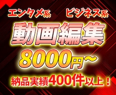 エンタメ系、ビジネス系動画編集いたします イメージ1
