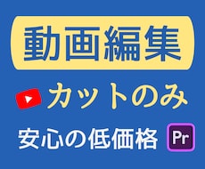 YouTubeなど動画編集｜カット作業を代行します イメージ1