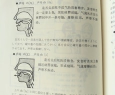 丨発音矯正丨中国語の発音を極めたい方、募集します ✅発音矯正したい人も、さらに高い中国語レベルを求める人も