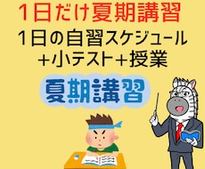 夏期講習授業＋宿題による自習で学習サポートします イメージ1