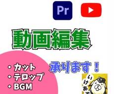Youtube向け動画編集を承ります イメージ1