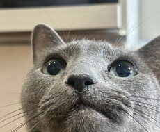 話したい方のお話聞きます イメージ1