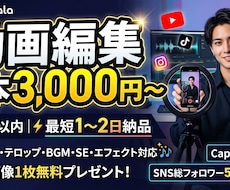 CapCutでショート動画編集します イメージ1