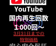 YouTube完全国内再生1000～から増やします 完全国内、あんしん保証、迅速対応
