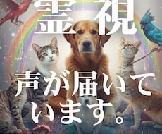 ペットと出会った意味/魂のつながりを霊視します イメージ1