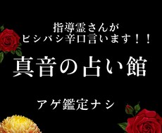 ビシバシ言います イメージ1