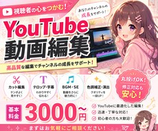 丸投げOK！動画編集します イメージ1