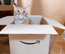 身近な人には話せないお悩みもご相談も受け付けます イメージ1