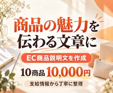 EC商品の魅力が伝わる説明文を作成します 10商品分の説明文とタイトル｜支給情報から作成