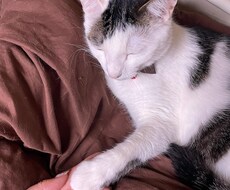 誰にも言えない悩み、恋愛相談、ただの話し相手します イメージ1