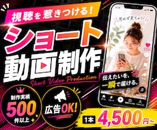 SNS向けショート動画を制作いたします イメージ1