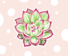 多肉植物のイラストや漫画を制作いたします
